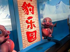 -成都浩海立方海洋公园