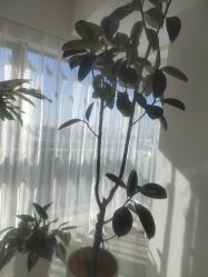-HEYAN荷妍专业脱毛连锁机构