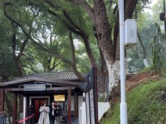 -马王堆汉墓遗址