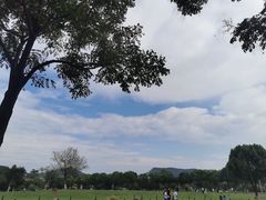 -羊山湖公园