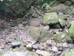 -重庆武隆天生三桥风景区-神鹰天坑