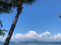 -三亚蜈支洲岛旅游区