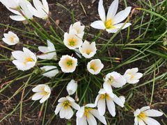 -贵阳市花溪国家城市湿地公园