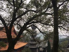 -中国观音故里广德景区