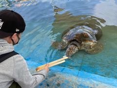 -北戴河圣蓝海洋公园