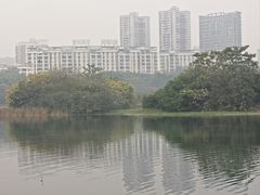 -南宁南湖公园