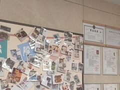 -半岛宠物医院24小时(白果林店)