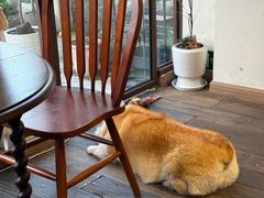 -肥朵食堂(带梦胡同店)