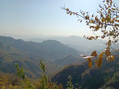 -大岭沟猕猴桃谷风景区