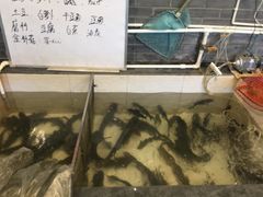 -铁锅炖灶台鱼老三炖鱼馆