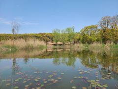 -同里国家湿地公园