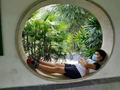-晓港公园