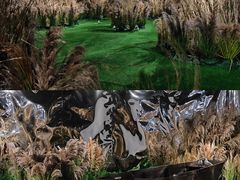 -福田美术馆——新童话主义－周艺文艺术季