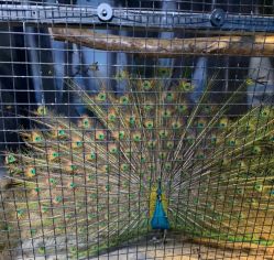 -酷嗒动物文化乐园(cutezoo西溪乐天城店)