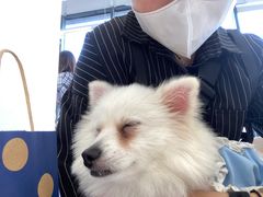 -怪兽屋·羊驼·猫咖·狗咖(俊华广场店)