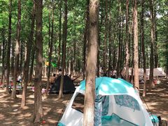 -苏州金鸡湖大酒店