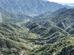 -大岭沟猕猴桃谷风景区