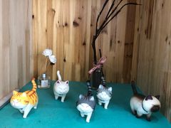 -猫在这儿猫咪咖啡馆·撸猫馆