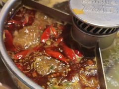 -巴奴毛肚火锅(二七万达店)