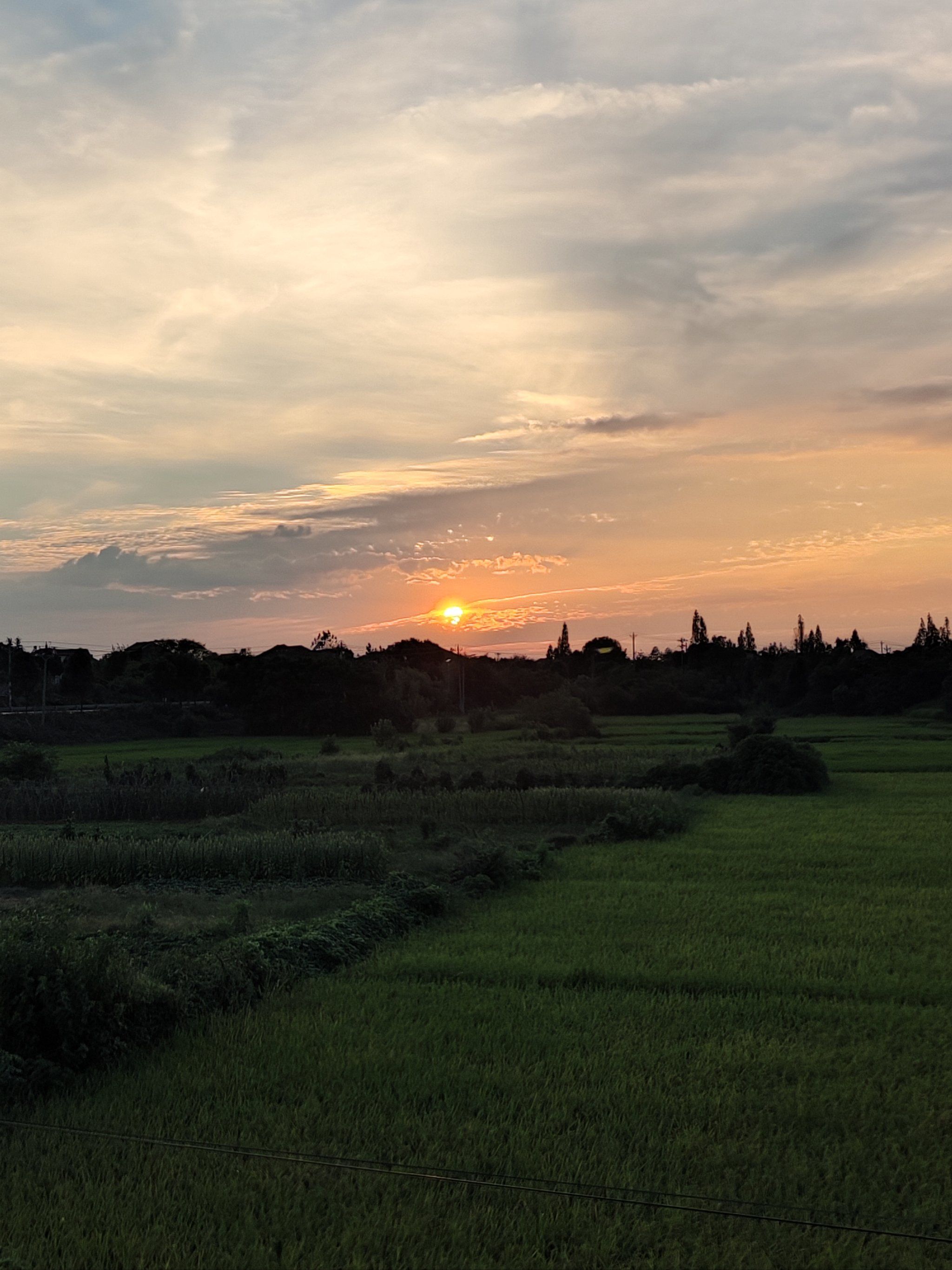 天天领红包 夕阳西下,田野笼罩在一片金黄之中,耕作一天的人们带着