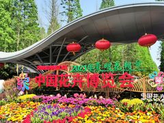-东平国家森林公园
