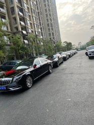 -蚂蚁婚车