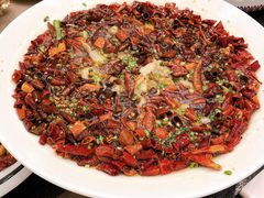 -狮子楼(成都晨光大厦店)