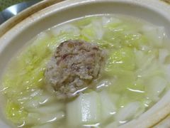 狮子头-丁老爷子苏香圆