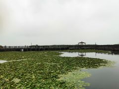 -新木器时代餐厅(太湖新天地店)