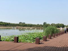 -大兴滨河森林公园