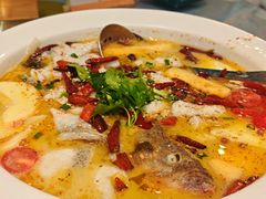 -花溪雨·森林餐厅(石基店)
