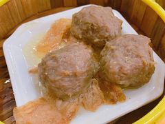 牛肉丸-横河佬炖品店(罗阳一路老店)