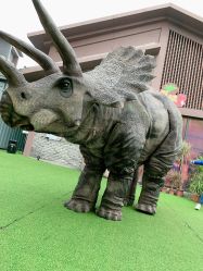 点击看大图 -恐龙探索乐园(磁器口店)