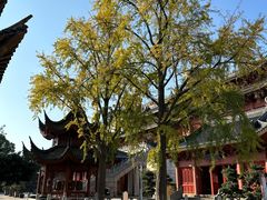 -上海东林寺(金山区)