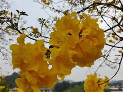 -中国移动南方基地