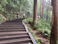 -青城山
