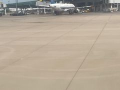 -青岛胶东国际机场