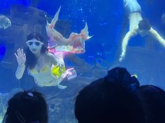 -江和美海洋公园