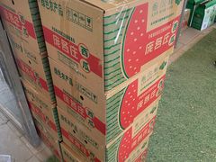 -庞各庄翠芳园西瓜蔬菜基地采摘园