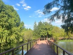 -贡湖湾湿地公园