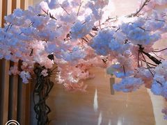 -紫· 割烹  Kappo Murasaki