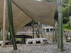 -MOJ coffee(瓯海泽雅水碓坑店)