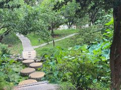 -华雅花园大酒店