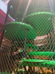 -恐龙探索乐园(磁器口店)