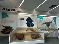 -安徽省地质博物馆