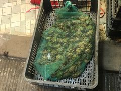 -鸿顺老铁锅美蛙鱼府(解放碑店)