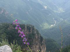 -灵山