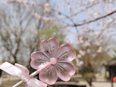 -春风习习