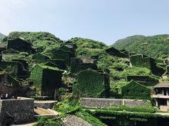 -枸杞岛