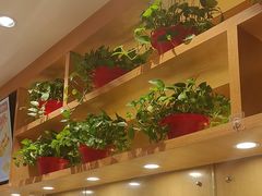 -南城香(四路通店)